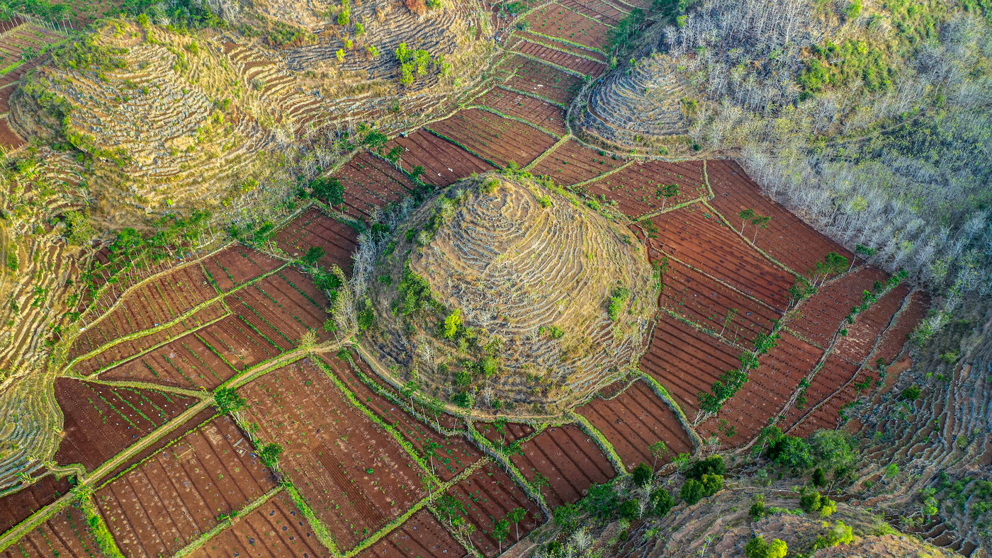 of the world’s croplands